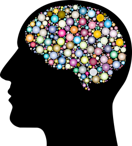 cranium, head, human-3199408.jpg