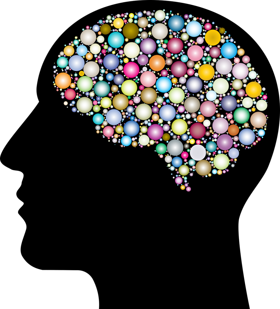 cranium, head, human-3199408.jpg